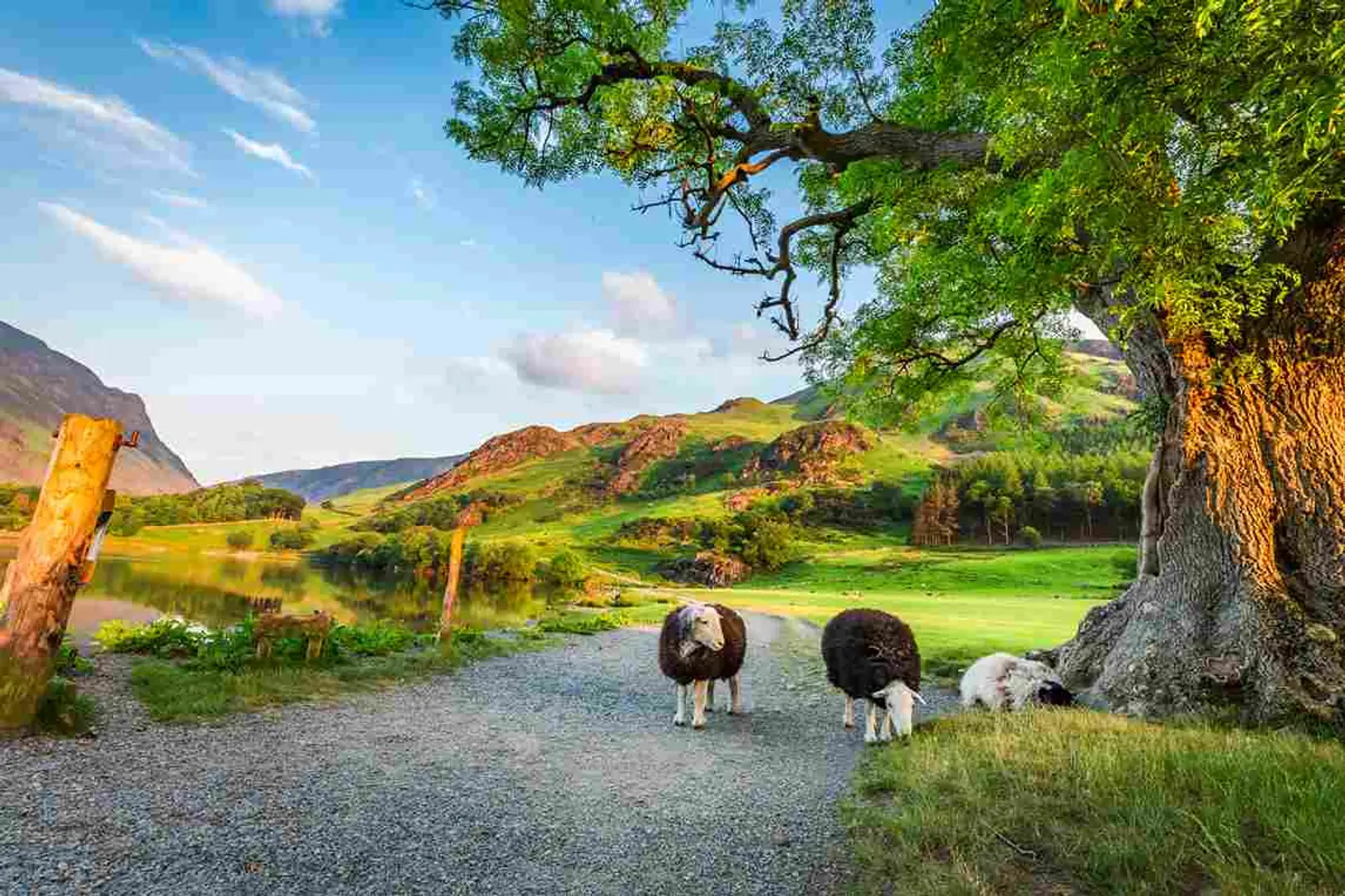 677d06a2b5966079507910a2